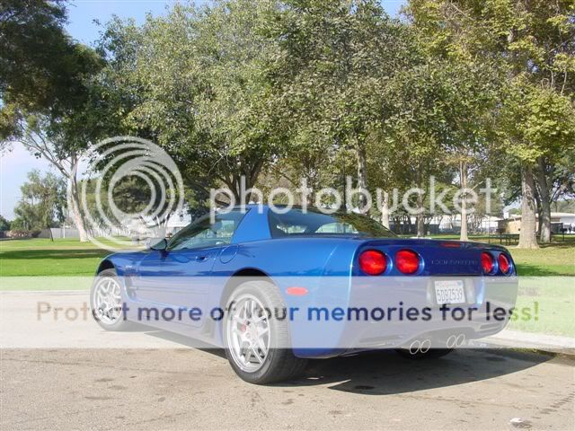 slongZ06_011.jpg
