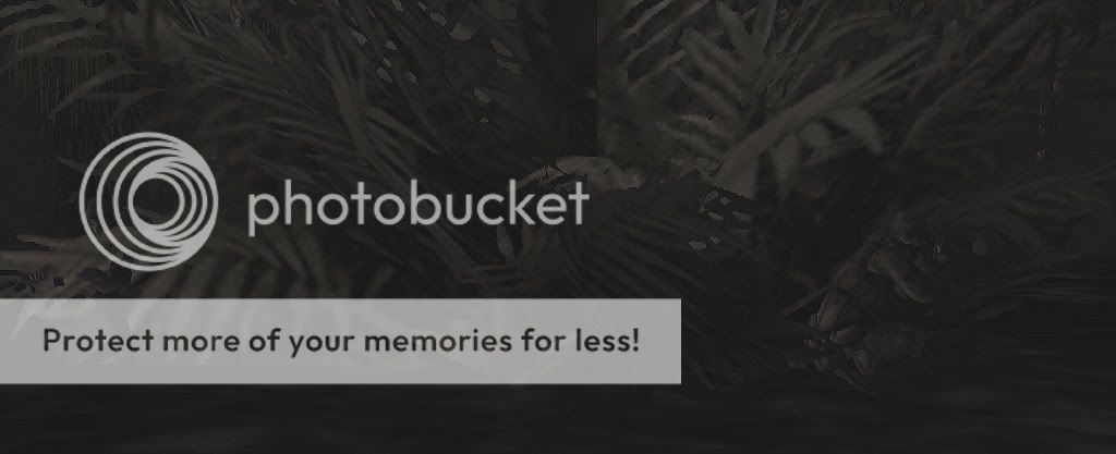 ni2.jpg