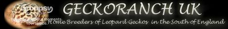 HOBBYIST HOME BREEDERS OF LEOPARD GECKOS LOCATED IN LONDON