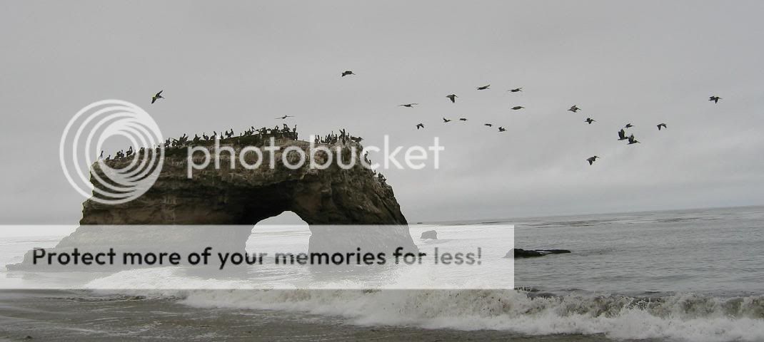 natural bridges